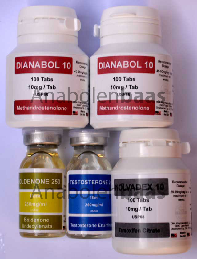 DNA Testosteron - Boldenone massakuur licht