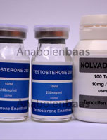 DNA Testosteron-only kuur